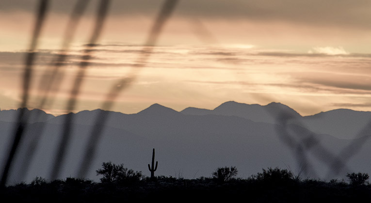 Photo of Saguaro National Park