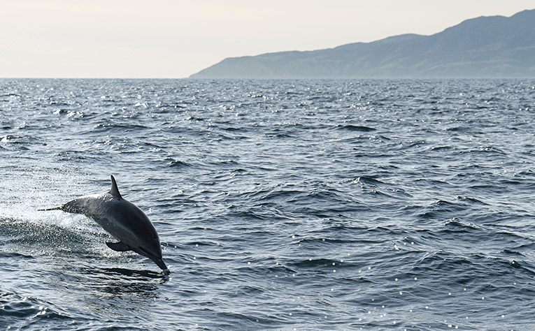 Photo of Channel Islands National Park