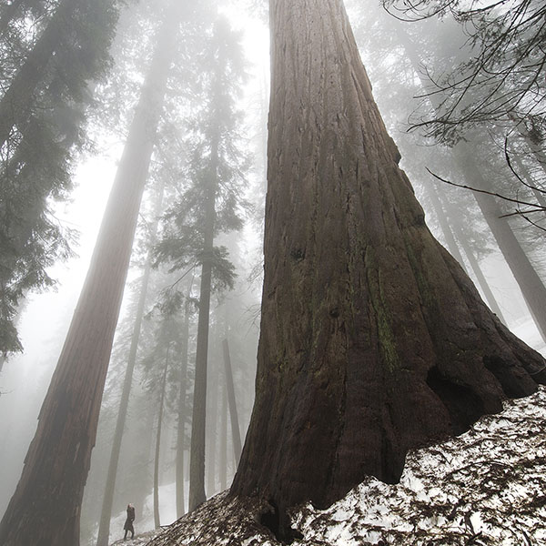 Read more about the article Visiting Every US National Park, Part 3: Finding Solace on Newly Thawed Land