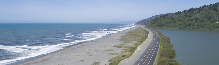 Photo of Redwood National Park