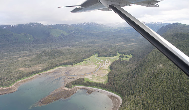 Photo from an Alaska Seaplanes flights to Glacier Bay National Park