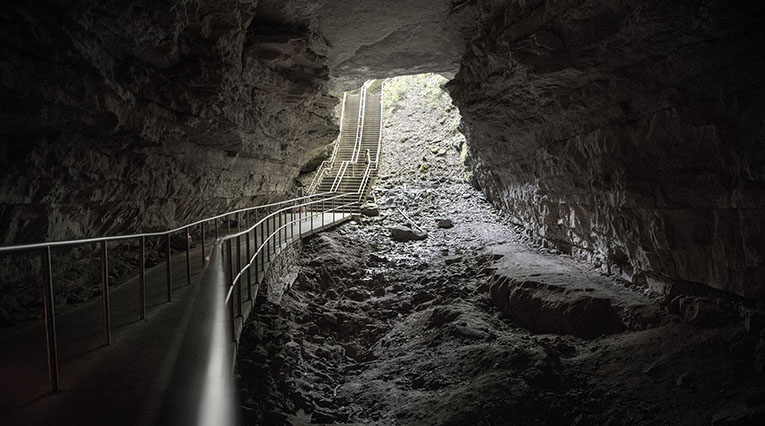 Photo of Mammoth Cave National Park