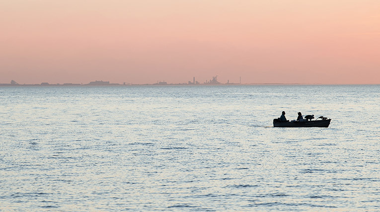 Photo of Chicago Skyline from Indiana Dunes National Park