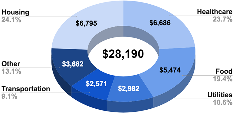 Graph of 2020 expenses