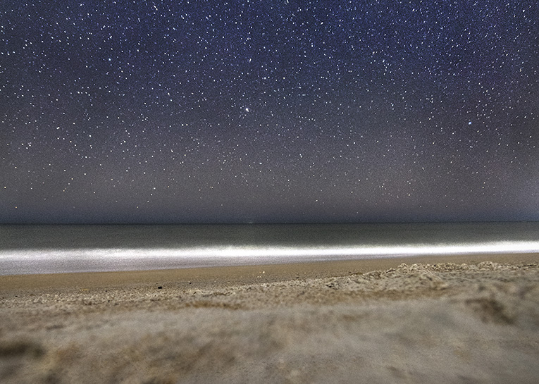 Photo of Anastasia State Park at night