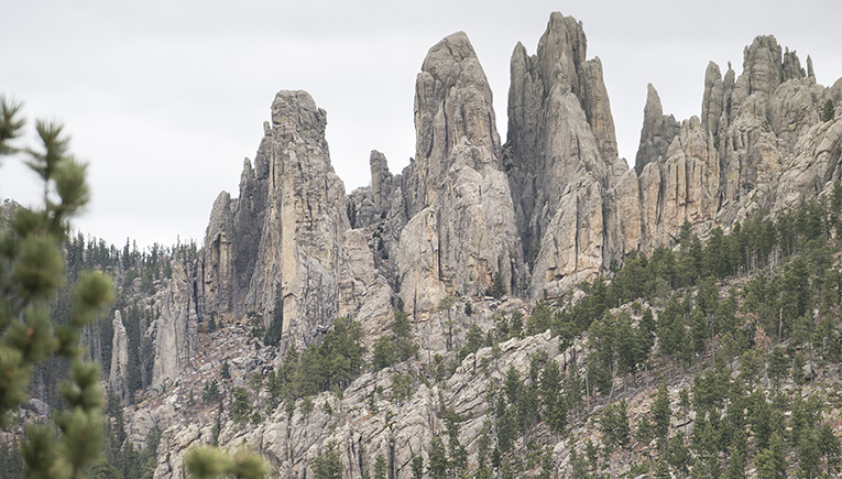 Photo of the Needles Custer State Park