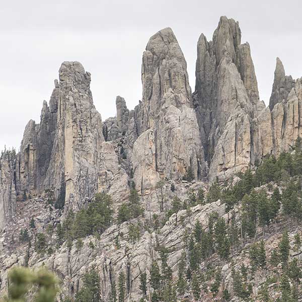 Read more about the article Custer State Park: See South Dakota Wildlife & Hike the Needles