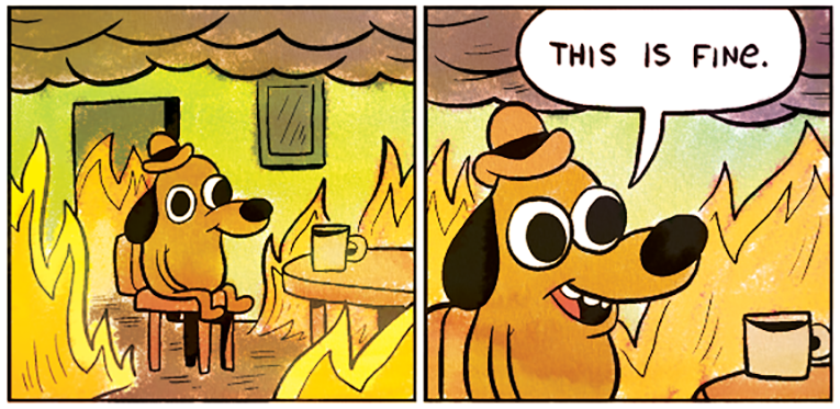 Photo of "This is Fine" meme