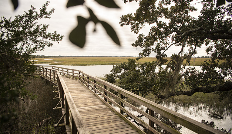 Photo of boardwalk over marshes at Cumberland Island