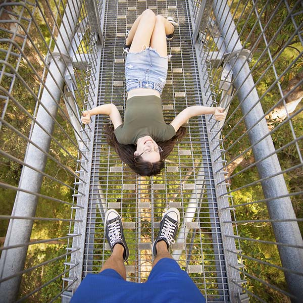 Read more about the article Walpole National Park’s Tree Top Walk Lets You Hike in the Sky