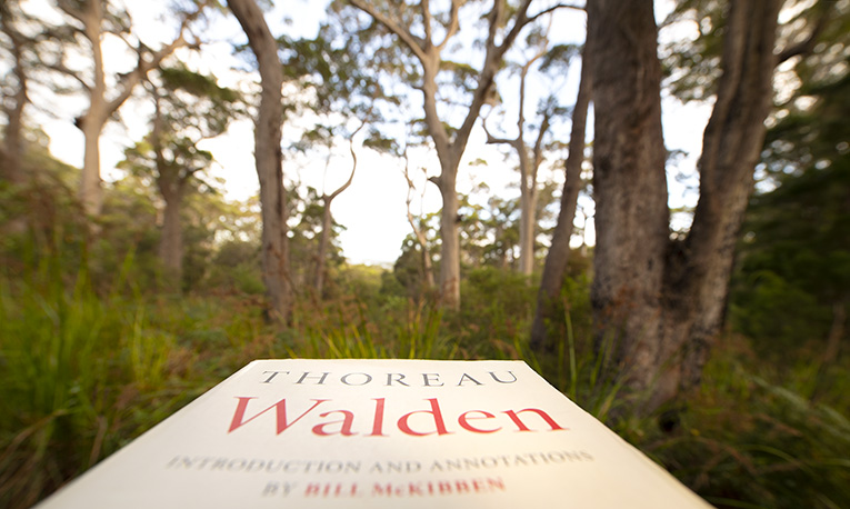 Photo of the book Walden by Henry David Thoreau