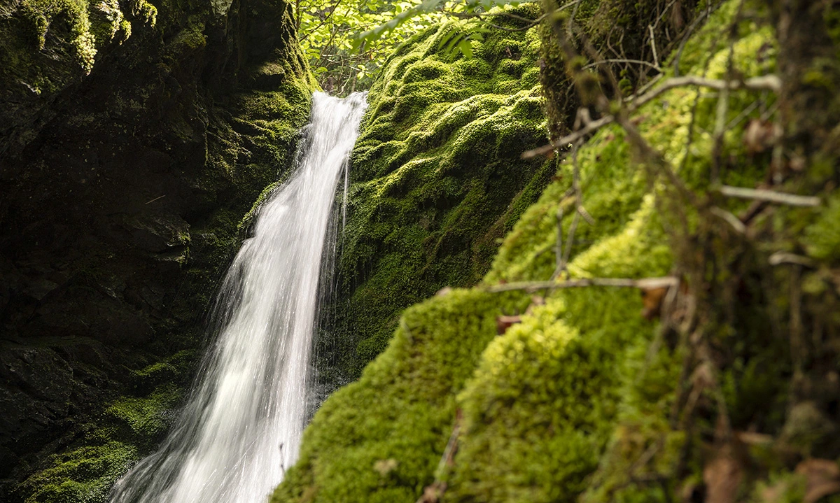 Photo of Dickson Falls in Fundy National Park